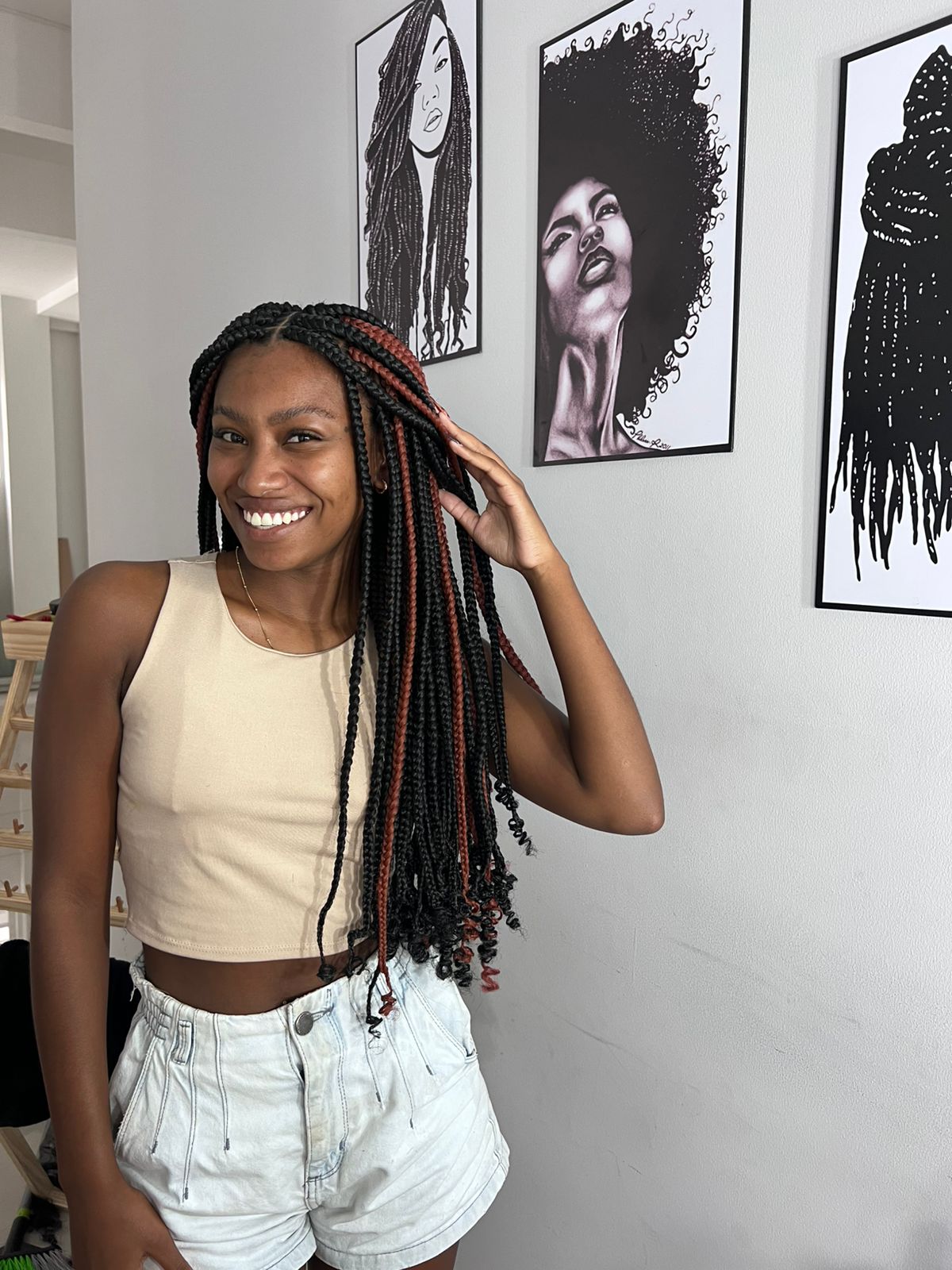 Box Braids Bicolor